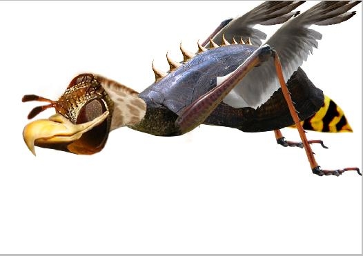 Creation of Diptera Nematocera: Step 1